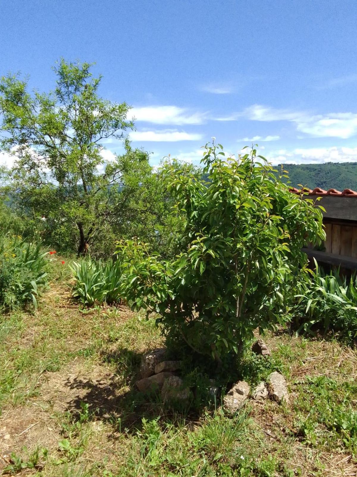 Gites De Revirand Sarras Ngoại thất bức ảnh